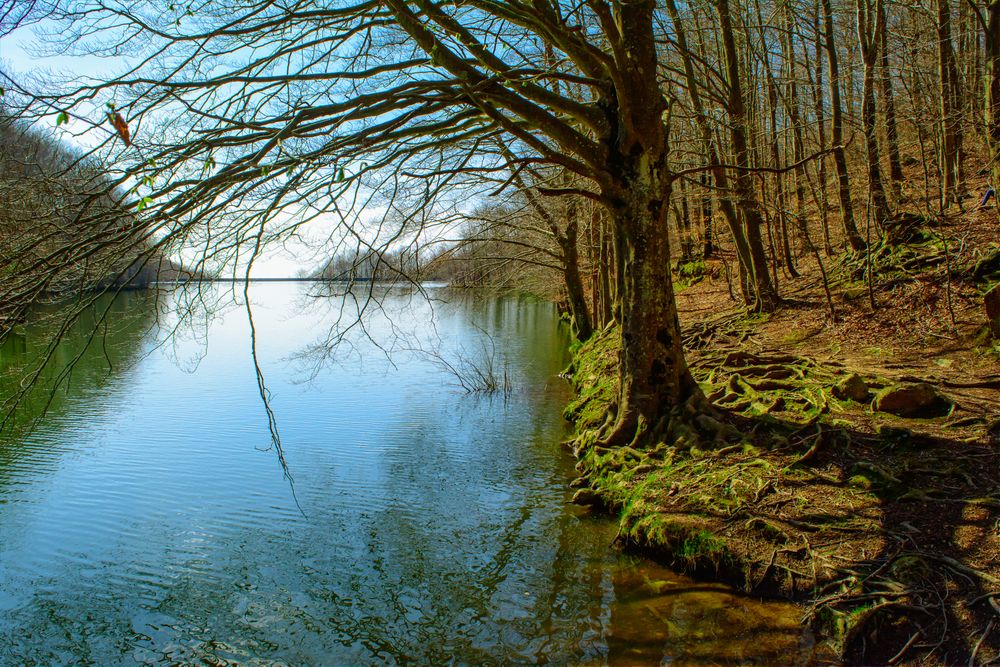 5-excursiones-para-hacer-con-ninos-en-el-Parque-Natural-del-Montseny